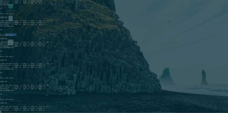 Serial%20Console%20Output%20from%20the%20FPGA